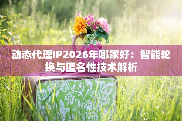 动态代理IP2026年哪家好：智能轮换与匿名性技术解析