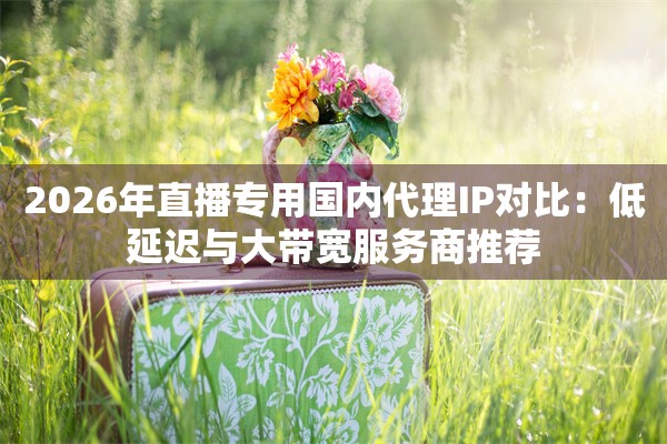 2026年直播专用国内代理IP对比：低延迟与大带宽服务商推荐
