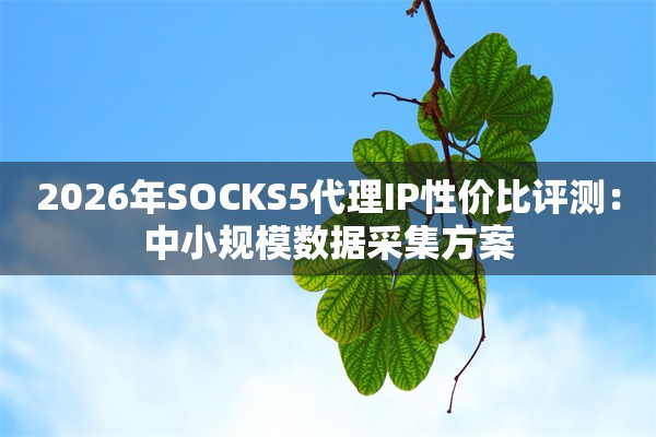 2026年SOCKS5代理IP性价比评测：中小规模数据采集方案