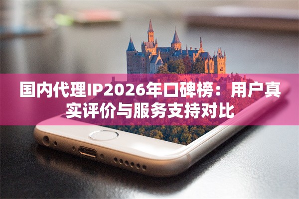 国内代理IP2026年口碑榜：用户真实评价与服务支持对比
