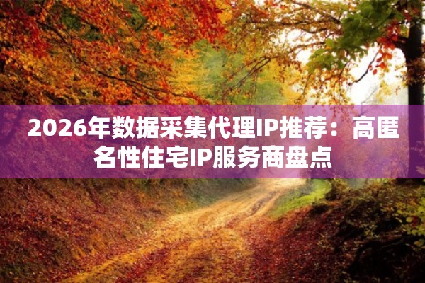 2026年数据采集代理IP推荐：高匿名性住宅IP服务商盘点