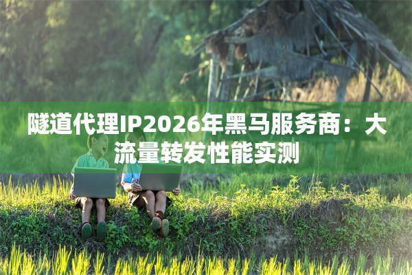 隧道代理IP2026年黑马服务商：大流量转发性能实测