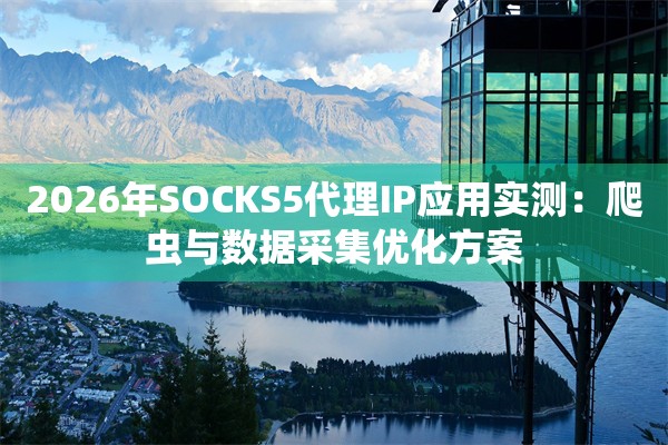 2026年SOCKS5代理IP应用实测：爬虫与数据采集优化方案
