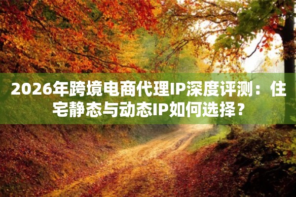 2026年跨境电商代理IP深度评测：住宅静态与动态IP如何选择？
