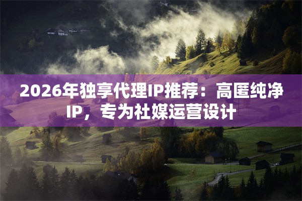 2026年独享代理IP推荐：高匿纯净IP，专为社媒运营设计