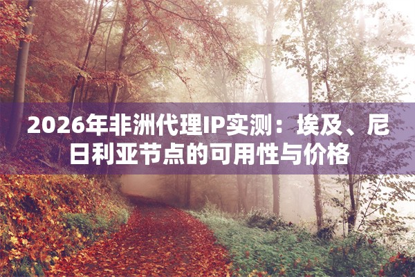 2026年非洲代理IP实测：埃及、尼日利亚节点的可用性与价格