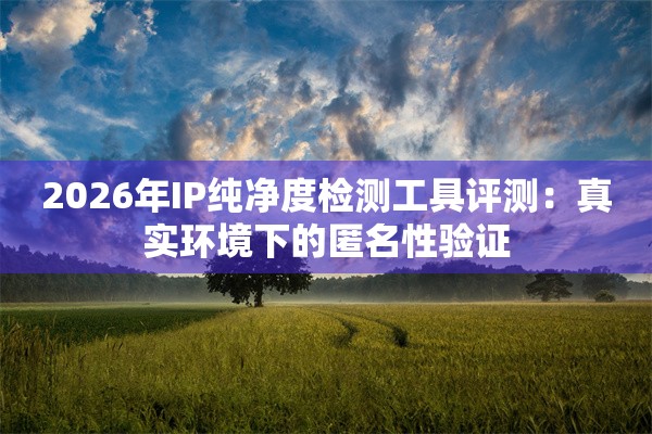 2026年IP纯净度检测工具评测：真实环境下的匿名性验证