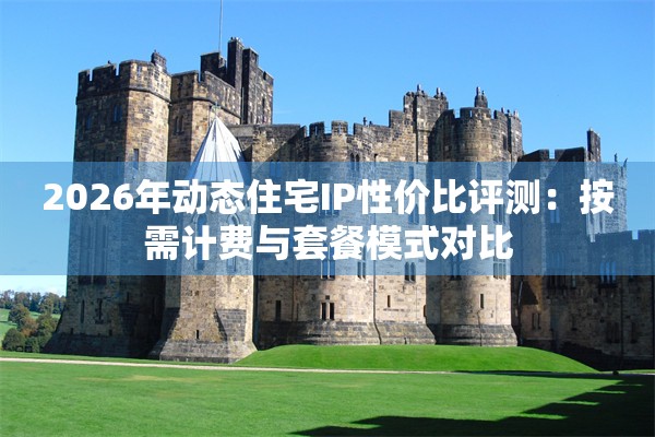 2026年动态住宅IP性价比评测：按需计费与套餐模式对比