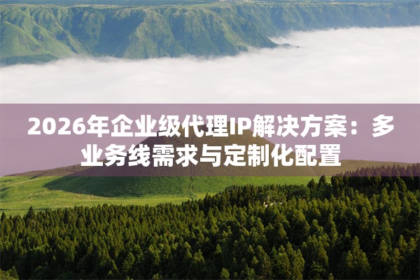 2026年企业级代理IP解决方案：多业务线需求与定制化配置