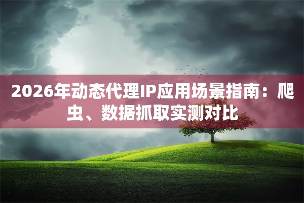 2026年动态代理IP应用场景指南：爬虫、数据抓取实测对比