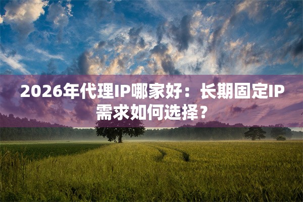 2026年代理IP哪家好：长期固定IP需求如何选择？