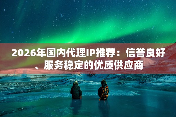 2026年国内代理IP推荐：信誉良好、服务稳定的优质供应商