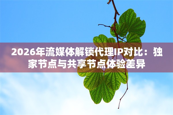 2026年流媒体解锁代理IP对比：独家节点与共享节点体验差异