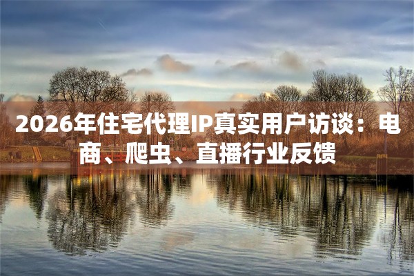 2026年住宅代理IP真实用户访谈：电商、爬虫、直播行业反馈