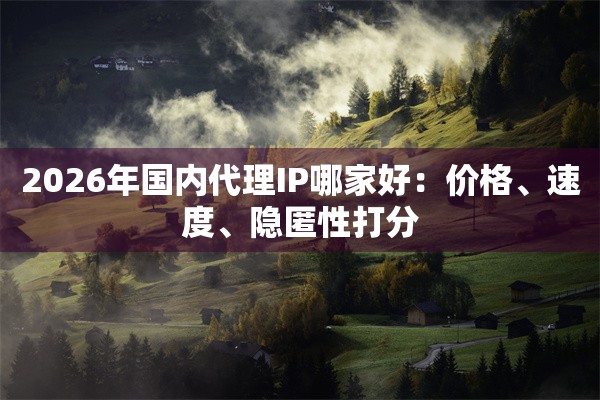 2026年国内代理IP哪家好：价格、速度、隐匿性打分