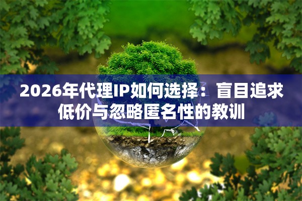 2026年代理IP如何选择：盲目追求低价与忽略匿名性的教训