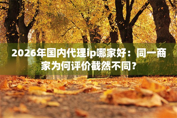 2026年国内代理ip哪家好：同一商家为何评价截然不同？
