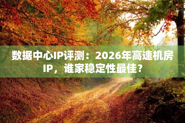 数据中心IP评测：2026年高速机房IP，谁家稳定性最佳？