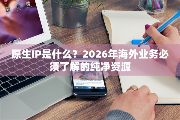 原生IP是什么？2026年海外业务必须了解的纯净资源