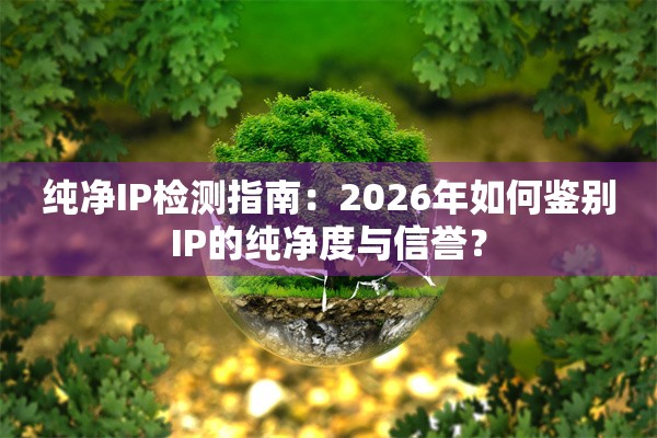 纯净IP检测指南：2026年如何鉴别IP的纯净度与信誉？
