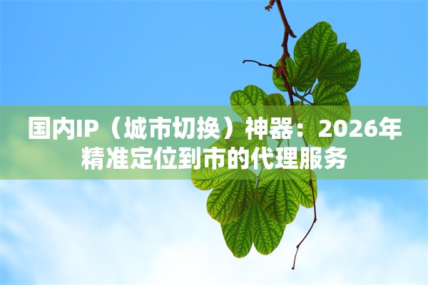 国内IP（城市切换）神器：2026年精准定位到市的代理服务