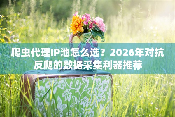 爬虫代理IP池怎么选？2026年对抗反爬的数据采集利器推荐