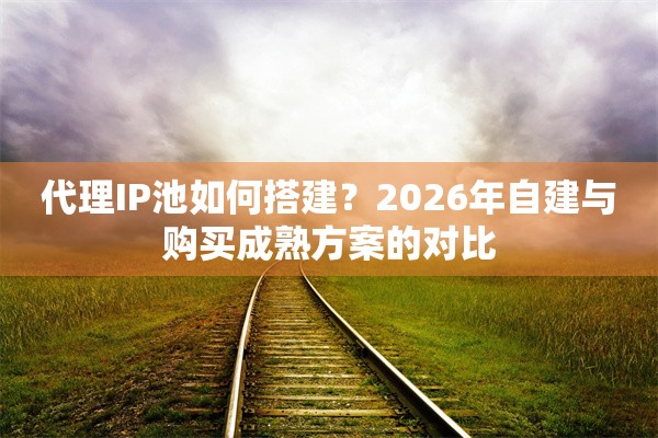 代理IP池如何搭建？2026年自建与购买成熟方案的对比