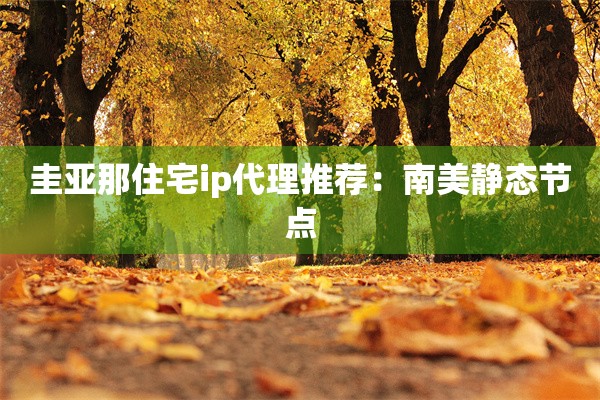 圭亚那住宅ip代理推荐：南美静态节点
