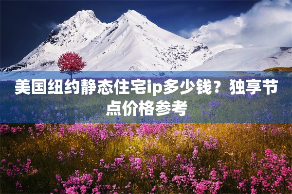 美国纽约静态住宅ip多少钱?独享节点价格参考