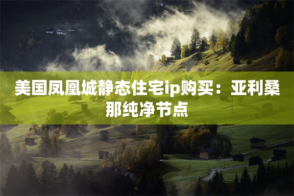 美国凤凰城静态住宅ip购买：亚利桑那纯净节点