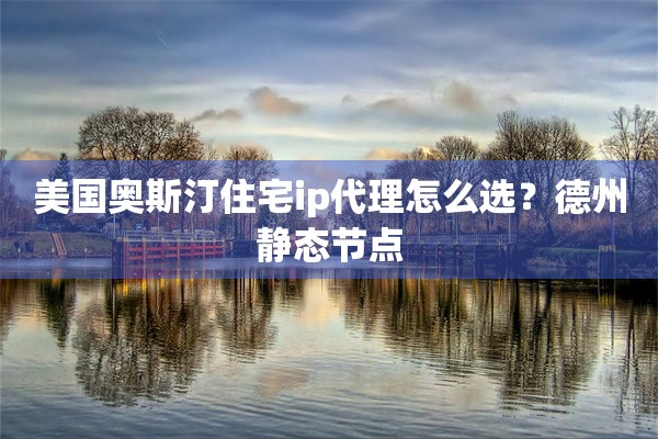 美国奥斯汀住宅ip代理怎么选？德州静态节点