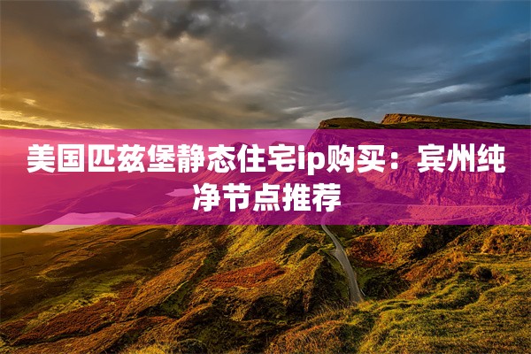 美国匹兹堡静态住宅ip购买：宾州纯净节点推荐