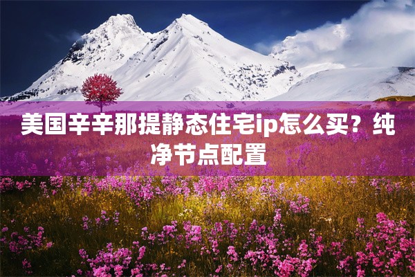 美国辛辛那提静态住宅ip怎么买？纯净节点配置