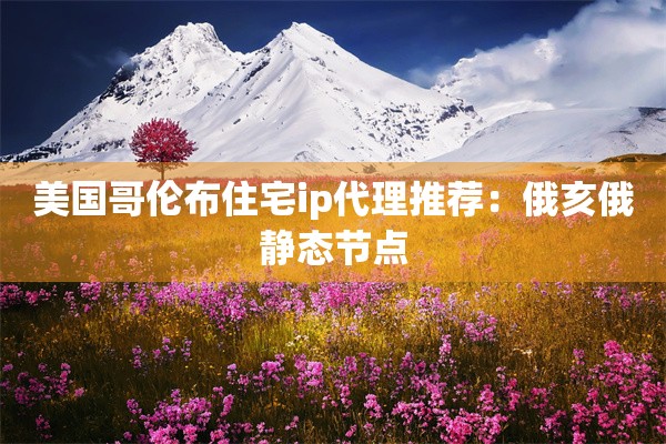 美国哥伦布住宅ip代理推荐：俄亥俄静态节点