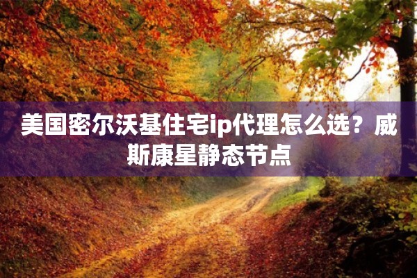 美国密尔沃基住宅ip代理怎么选？威斯康星静态节点