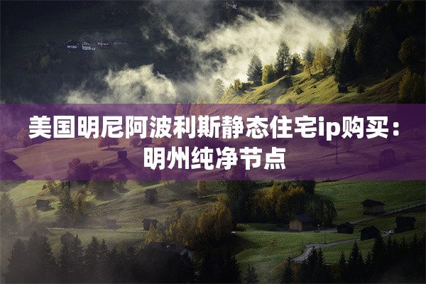 美国明尼阿波利斯静态住宅ip购买：明州纯净节点