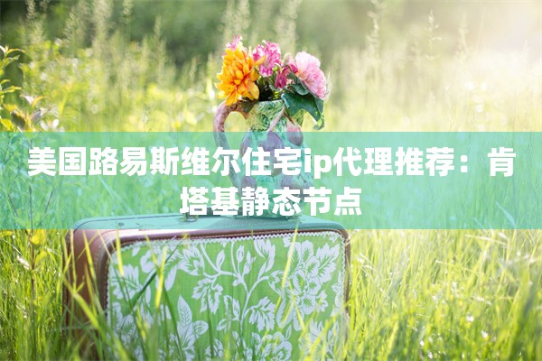 美国路易斯维尔住宅ip代理推荐：肯塔基静态节点
