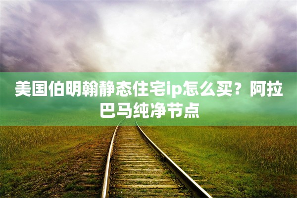 美国伯明翰静态住宅ip怎么买？阿拉巴马纯净节点