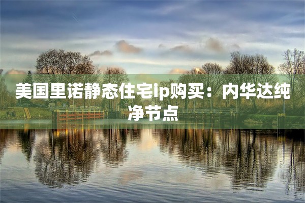 美国里诺静态住宅ip购买：内华达纯净节点
