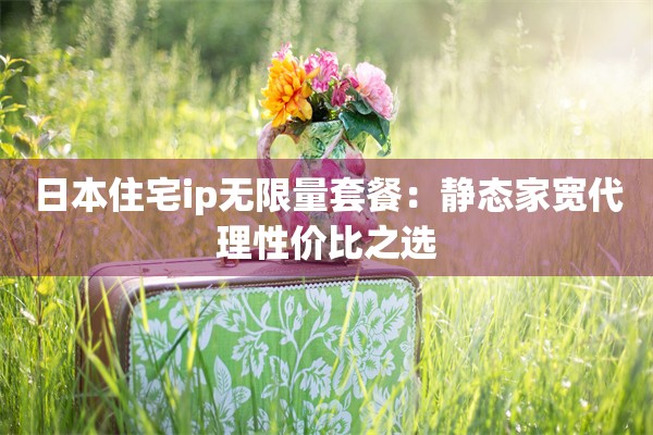 日本住宅ip无限量套餐：静态家宽代理性价比之选