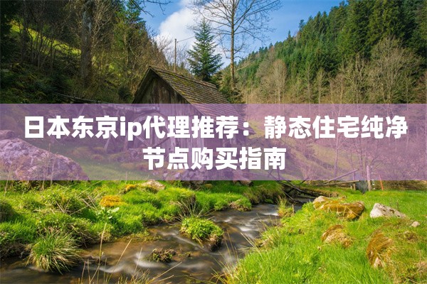 日本东京ip代理推荐：静态住宅纯净节点购买指南