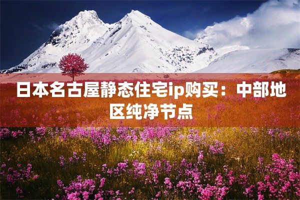 日本名古屋静态住宅ip购买：中部地区纯净节点