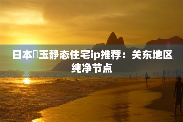 日本埼玉静态住宅ip推荐：关东地区纯净节点