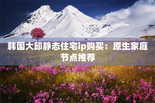 韩国大邱静态住宅ip购买：原生家庭节点推荐