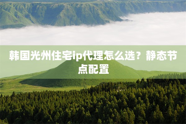 韩国光州住宅ip代理怎么选？静态节点配置