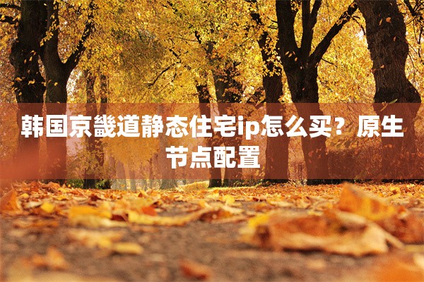 韩国京畿道静态住宅ip怎么买？原生节点配置