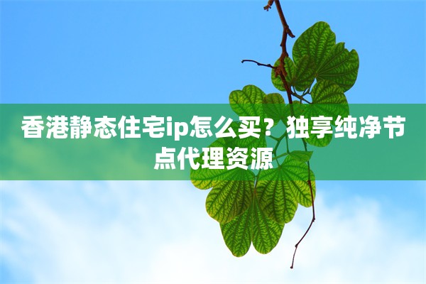 香港静态住宅ip怎么买？独享纯净节点代理资源