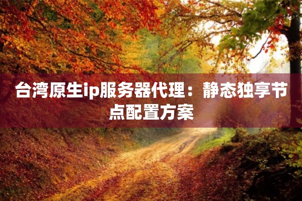 台湾原生ip服务器代理：静态独享节点配置方案