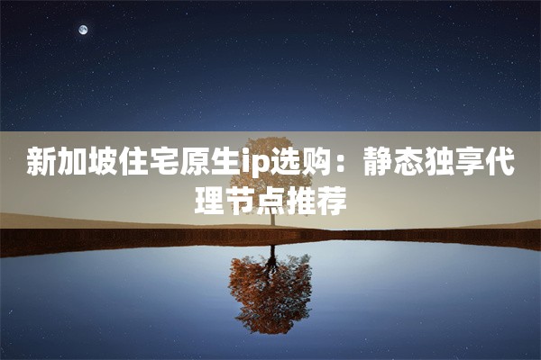 新加坡住宅原生ip选购：静态独享代理节点推荐