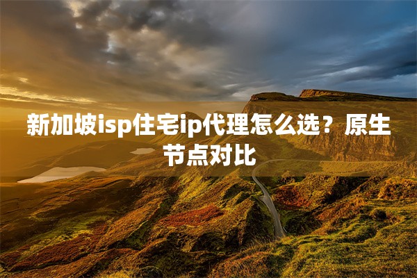 新加坡isp住宅ip代理怎么选？原生节点对比